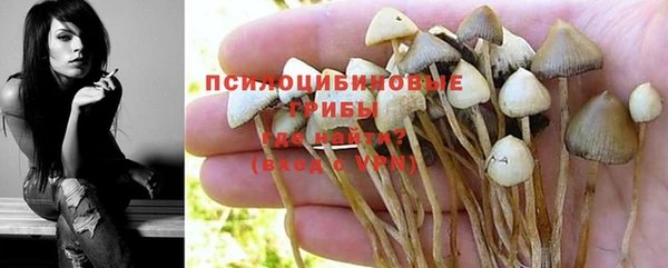 крисы Нефтекумск