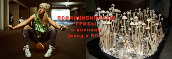 мяу мяу мука Надым