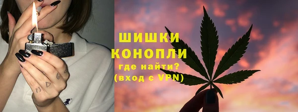 дмт Нея