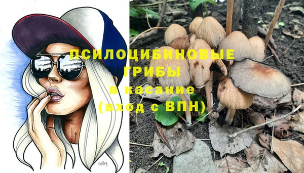 дмт Нея