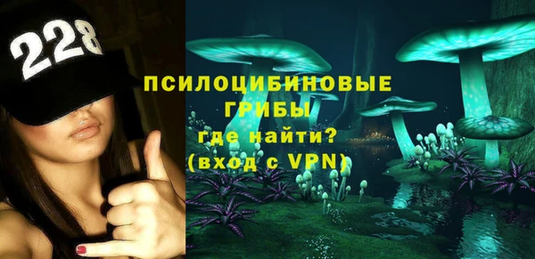 дмт Нея