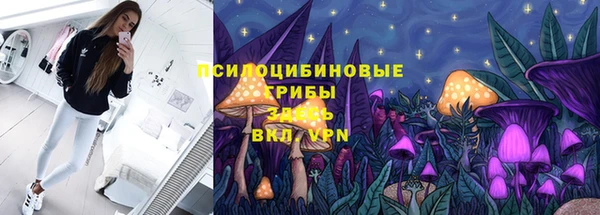 крисы Нефтекумск