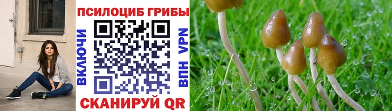 Купить закладки Старый Крым Галлюциногенные грибы Psilocybine cubensis